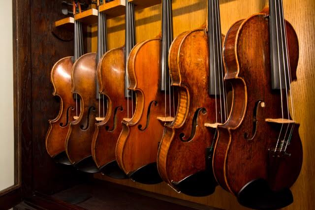 violins on display